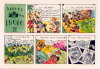 Safari photo. (<1995)., - (CAP0103)