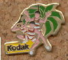 , - (PIN0164)