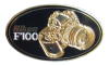 Nikon F100, - (PIN0596)